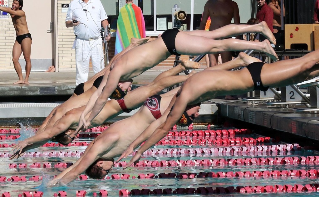 Men's swimmers dive off the blocks.