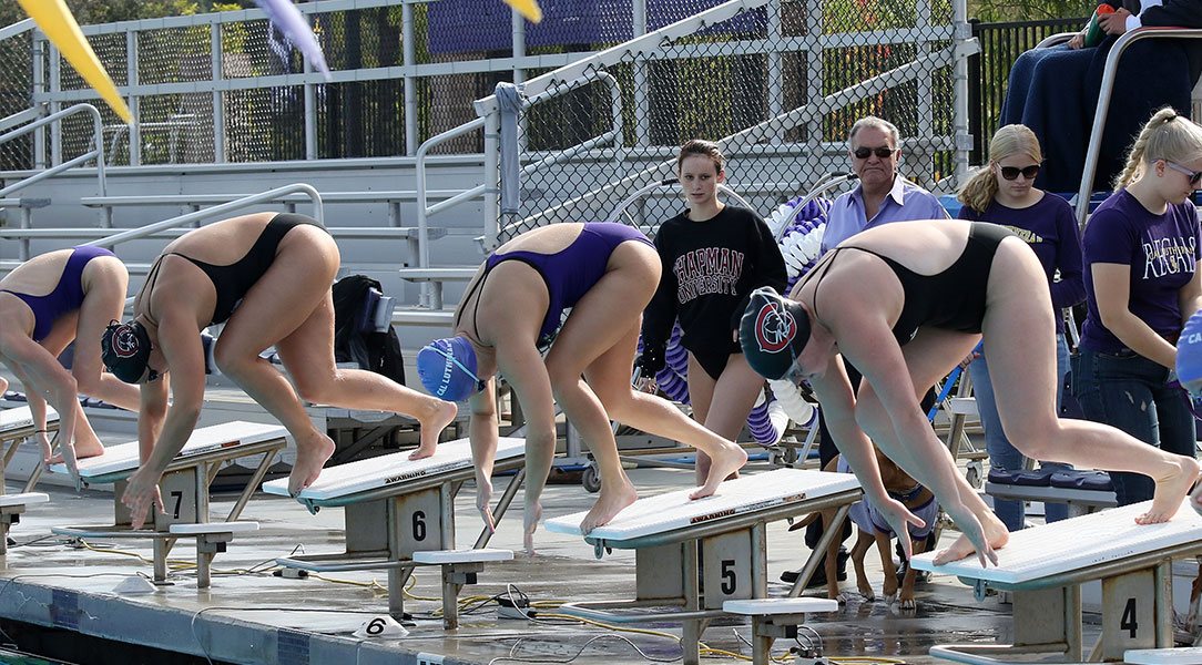 Swimmers start to dive in for a race.