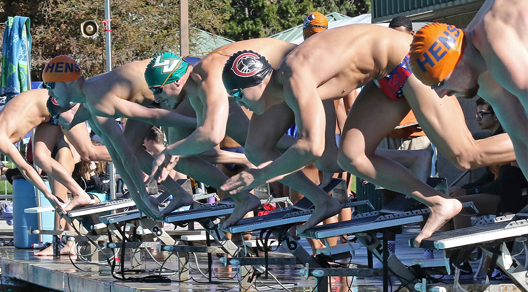 Swimmers dive in at the start of a race.