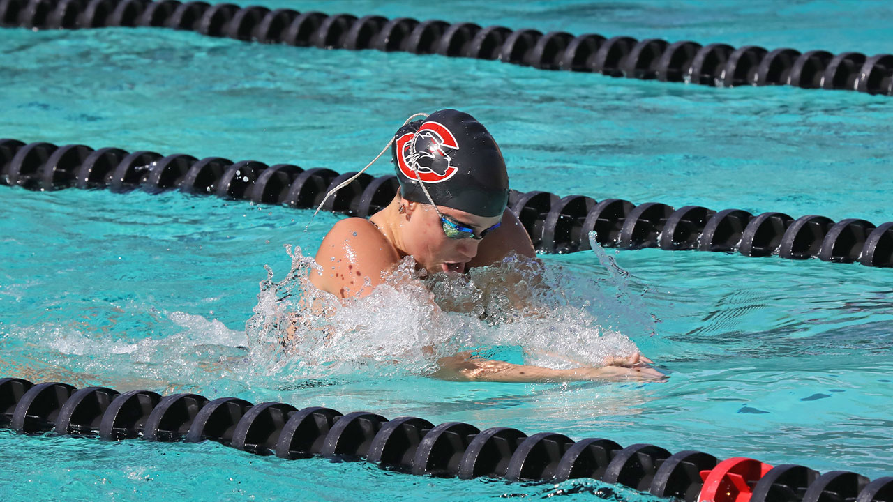 A chapman swimmer swimming the breaststroke.