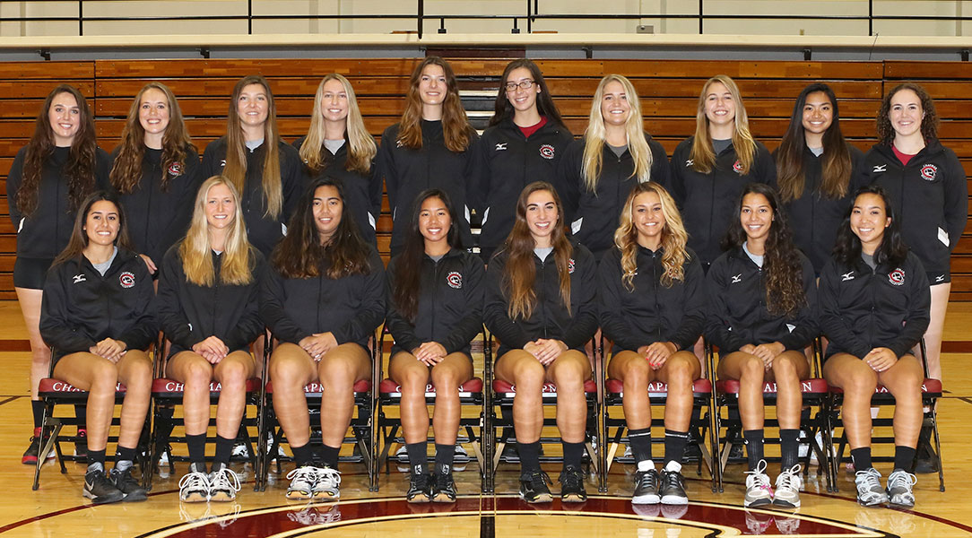 Volleyball team picture