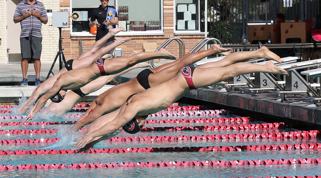 Male swimmers dive into the pool.
