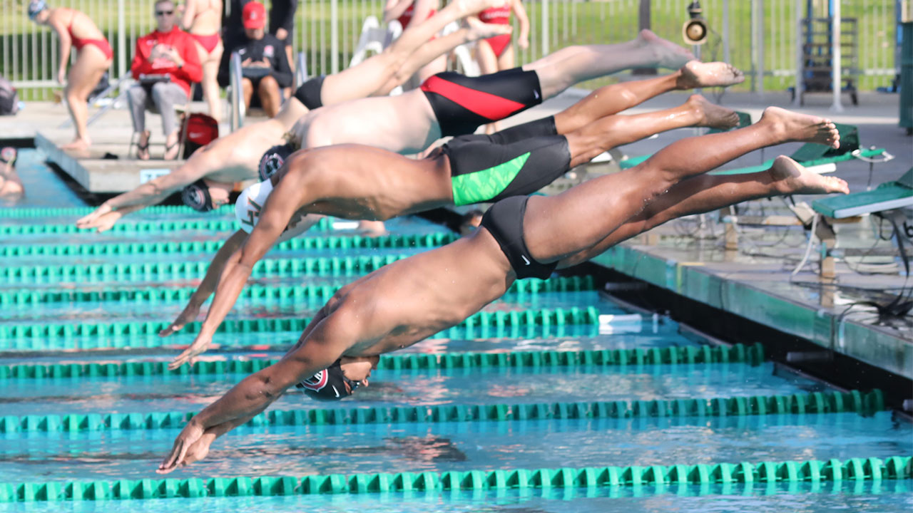 Male swimmers dive off the blocks.