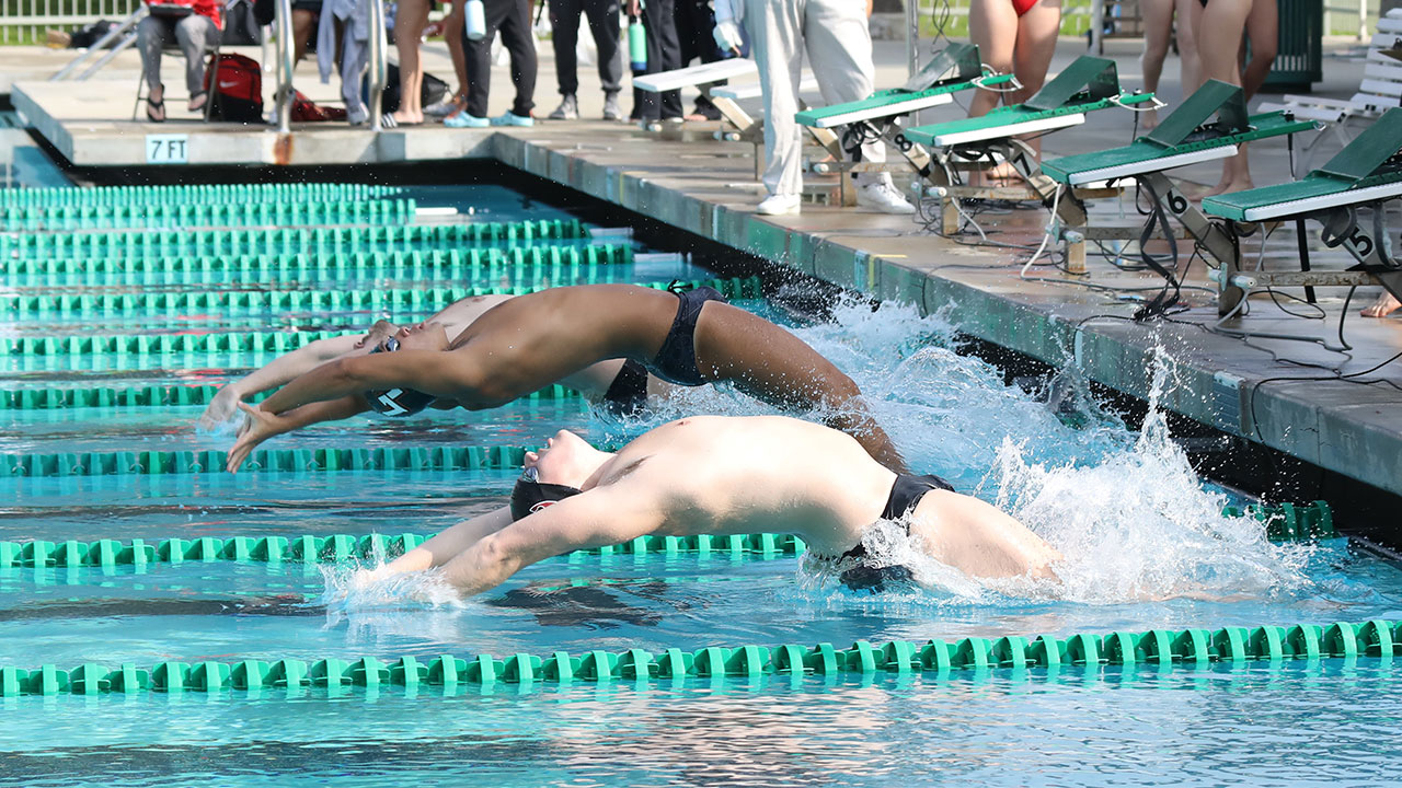 Male swimmers begin a backstroke race.
