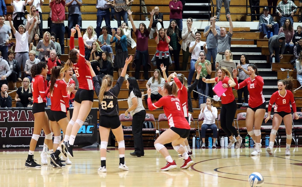 The volleyball team and crowd celebrate a match-winning point.